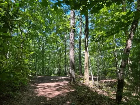 00 Pleasant View Robbinsville NC 28771