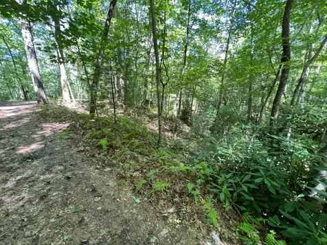 00 Pleasant View Robbinsville NC 28771