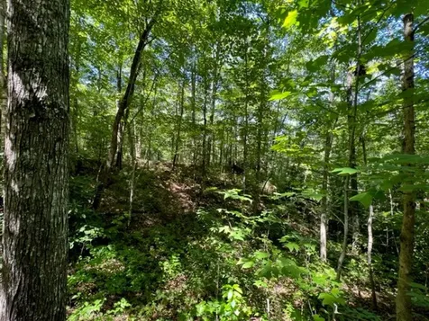 00 Pleasant View Robbinsville NC 28771