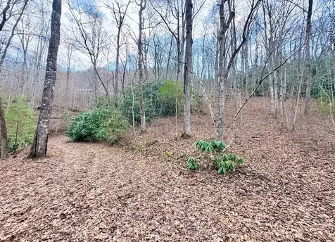 00 Pleasant View Robbinsville NC 28771