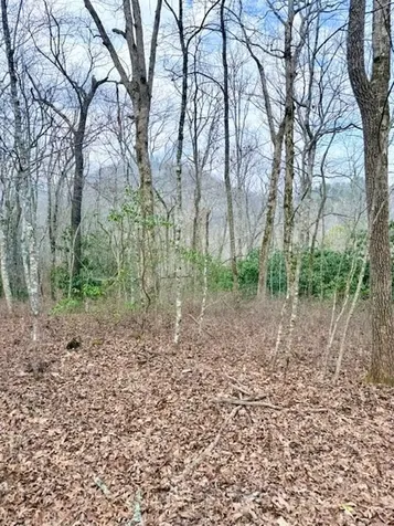 00 Pleasant View Robbinsville NC 28771
