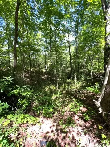 00 Pleasant View Robbinsville NC 28771
