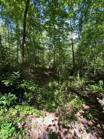 00 Pleasant View Robbinsville NC 28771