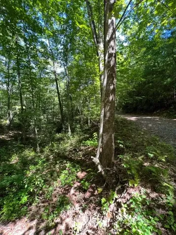 00 Pleasant View Robbinsville NC 28771