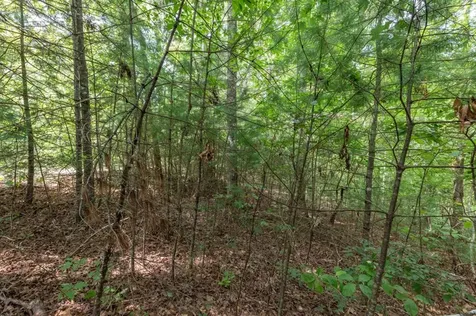 Lot 18 The Ridges Of Carolina Murphy NC 28906