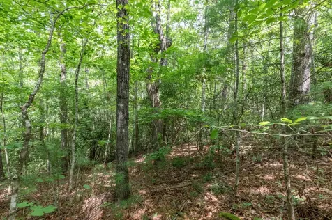 Lot 18 The Ridges Of Carolina Murphy NC 28906