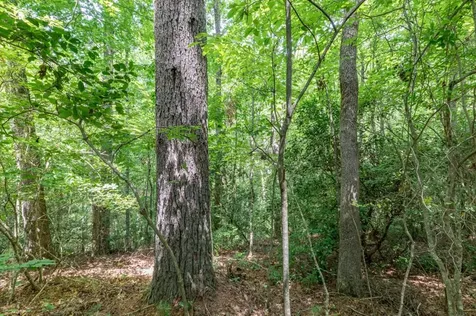 Lot 18 The Ridges Of Carolina Murphy NC 28906