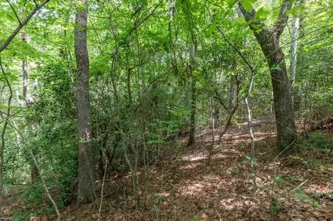 Lot 18 The Ridges Of Carolina Murphy NC 28906