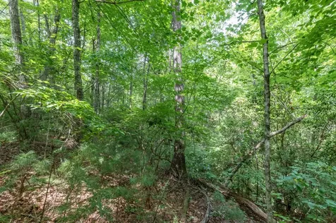 Lot 18 The Ridges Of Carolina Murphy NC 28906
