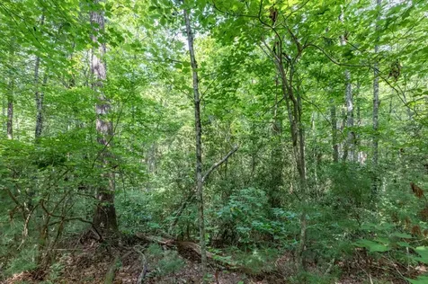 Lot 18 The Ridges Of Carolina Murphy NC 28906