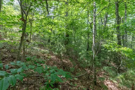 Lot 18 The Ridges Of Carolina Murphy NC 28906