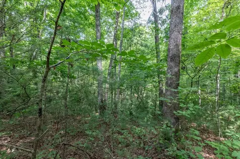 Lot 18 The Ridges Of Carolina Murphy NC 28906