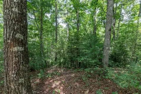Lot 18 The Ridges Of Carolina Murphy NC 28906