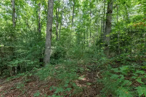 Lot 18 The Ridges Of Carolina Murphy NC 28906