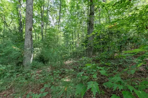 Lot 18 The Ridges Of Carolina Murphy NC 28906