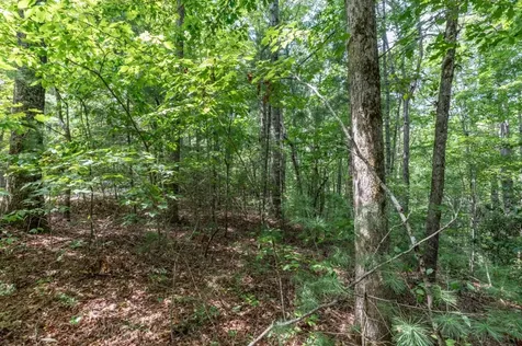 Lot 18 The Ridges Of Carolina Murphy NC 28906
