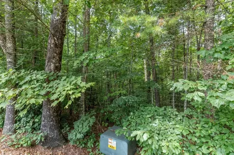 Lot 18 The Ridges Of Carolina Murphy NC 28906