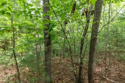 Lot 18 The Ridges Of Carolina Murphy NC 28906