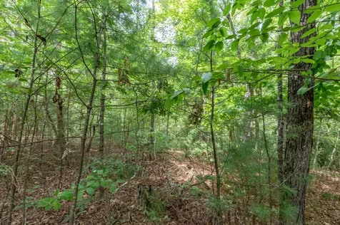 Lot 18 The Ridges Of Carolina Murphy NC 28906