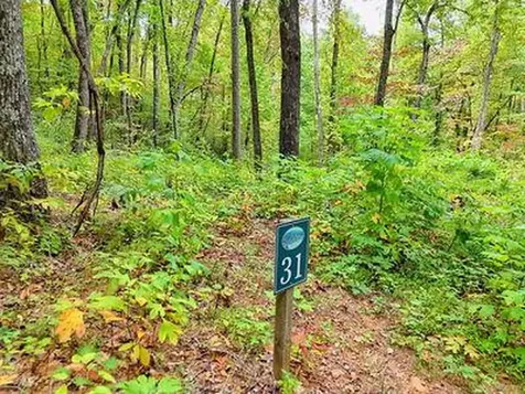 Lot 31 Skyview Trail Hayesville NC 28904