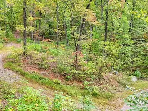 Lot 31 Skyview Trail Hayesville NC 28904