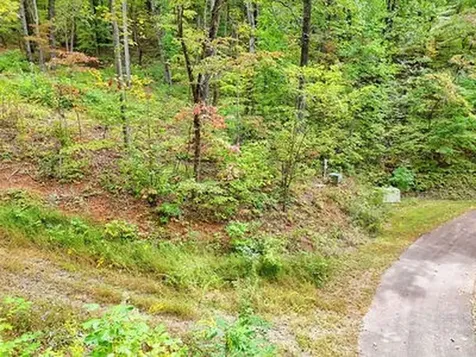 Lot 31 Skyview Trail Hayesville NC 28904