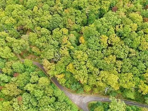 Lot 31 Skyview Trail Hayesville NC 28904