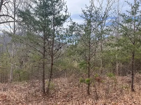 300 Jernigan Court Murphy NC 28906