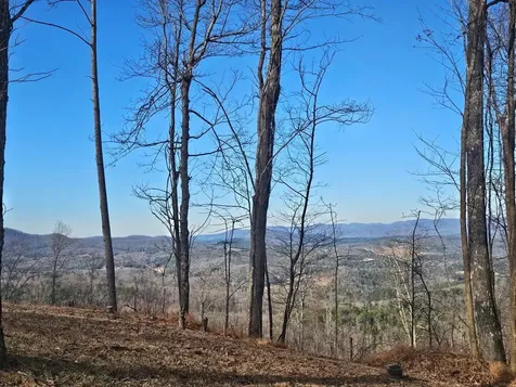 38 Trophy Buck Point Murphy NC 28906