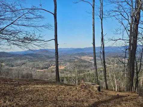 38 Trophy Buck Point Murphy NC 28906