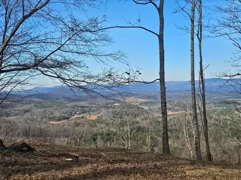 38 Trophy Buck Point Murphy NC 28906