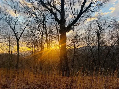 00 Aster Trail Marble NC 28905