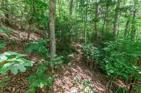 Lot 56 Indian Rock Springs Murphy NC 28906