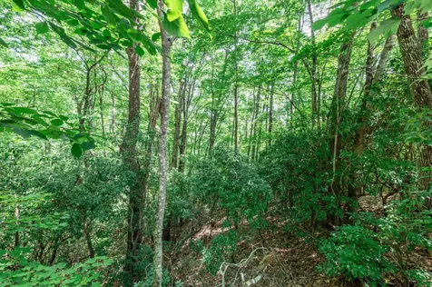 Lot 56 Indian Rock Springs Murphy NC 28906
