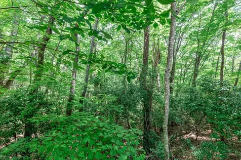 Lot 56 Indian Rock Springs Murphy NC 28906