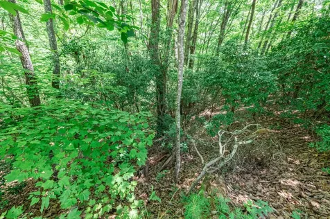 Lot 56 Indian Rock Springs Murphy NC 28906