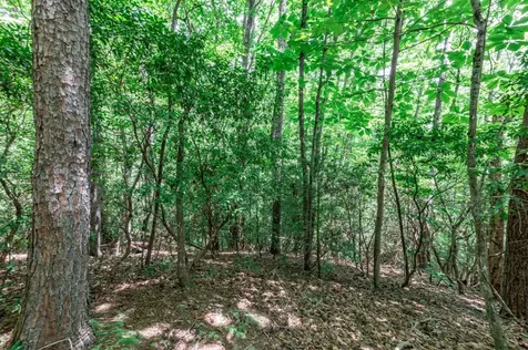 Lot 56 Indian Rock Springs Murphy NC 28906