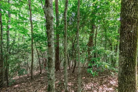 Lot 56 Indian Rock Springs Murphy NC 28906