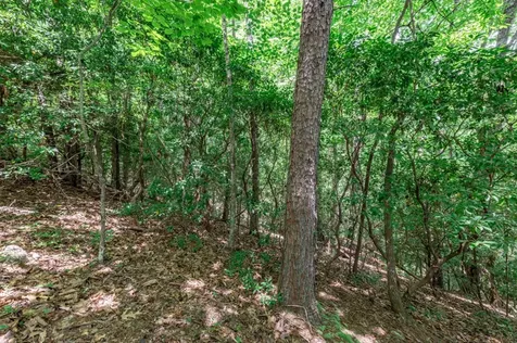 Lot 56 Indian Rock Springs Murphy NC 28906