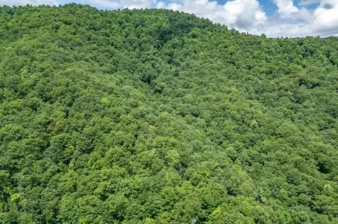 Lot 56 Indian Rock Springs Murphy NC 28906