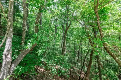 Lot 56 Indian Rock Springs Murphy NC 28906