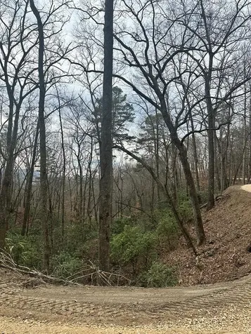 0 Tatham Gap Road Andrews NC 28901