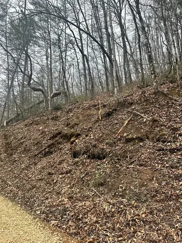 0 Tatham Gap Road Andrews NC 28901