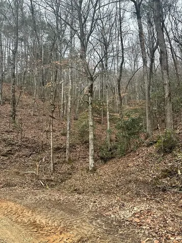 0 Tatham Gap Road Andrews NC 28901
