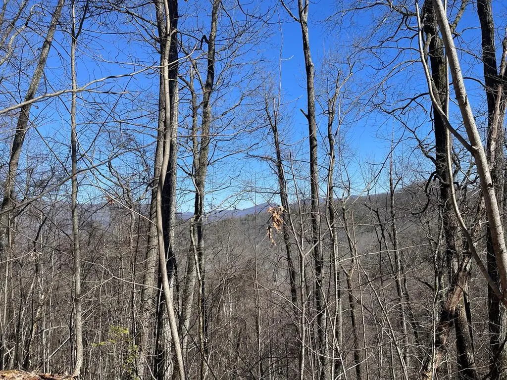 Lot 68j Grandview Drive Hayesville NC 28904