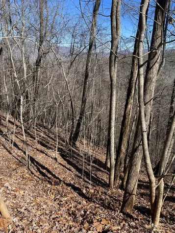Lot 68j Grandview Drive Hayesville NC 28904