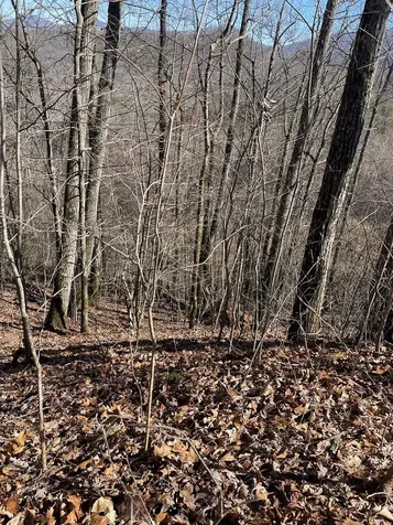 Lot 68j Grandview Drive Hayesville NC 28904