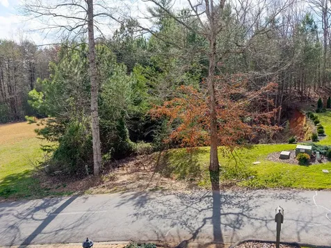 Tbd Licklog Ridge Hayesville NC 28904