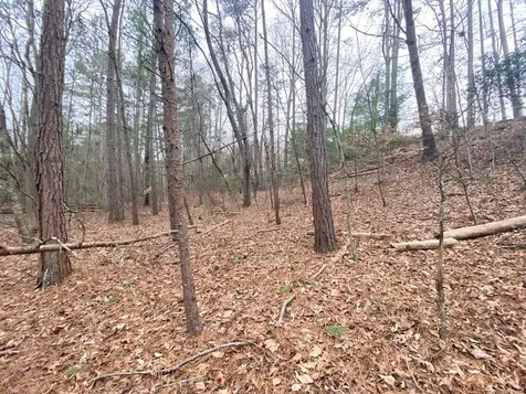 Lot 21 Broadleaf Lane Murphy NC 28906