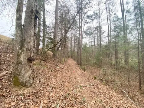 Lot 21 Broadleaf Lane Murphy NC 28906